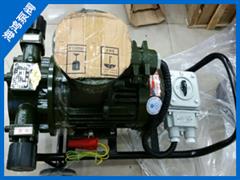 移動(dòng)式滑片泵-自吸式旋轉(zhuǎn)滑片泵