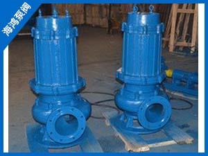排污泵-QW型無(wú)堵塞潛水排污泵